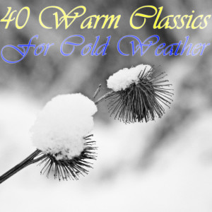 Winter Music Experts的專輯40 Warm Classics for Cold Weather