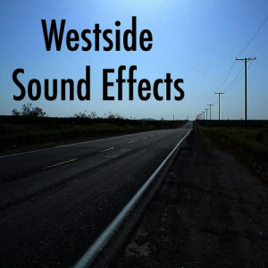 อัลบัม West Side Sound Effects ศิลปิน West Side Sound Effects