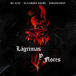 Listen to Lágrimas Y Flores song with lyrics from MC Aese
