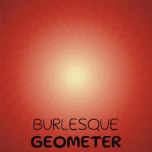 Various Artists的專輯Burlesque Geometer