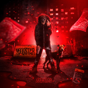 VinsHoodStar的專輯HOODSTAR (Explicit)
