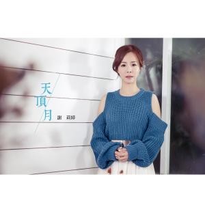 收聽謝莉婷的情網歌詞歌曲