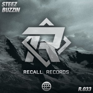 收聽Steez的Buzzin歌詞歌曲