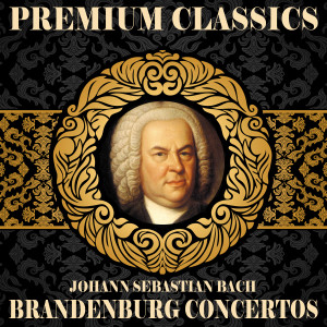 Orquesta Sinfónica de Radio Hamburgo的專輯Johann Sebastian Bach: Premium Classics. Brandenburg Concertos