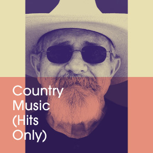 Album Country Music (Hits Only) from Various