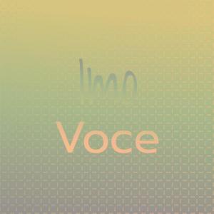 Various的专辑Imo Voce