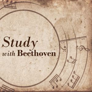 收聽Adrian Brendel的Beethoven: 12 Variations on "Ein Mädchen oder Weibchen" for Cello and Piano, Op. 66 - Variation IV歌詞歌曲