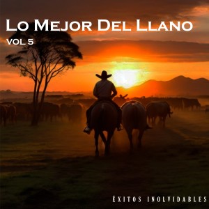 收聽Tirso Delgado的Alegrías Con Sufrimiento歌詞歌曲