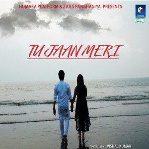 Listen to Tu Jaan Meri song with lyrics from Vishal Kumar