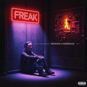 收聽Meshaya的F.R.E.A.K. (feat. Marseaux) (Explicit)歌詞歌曲