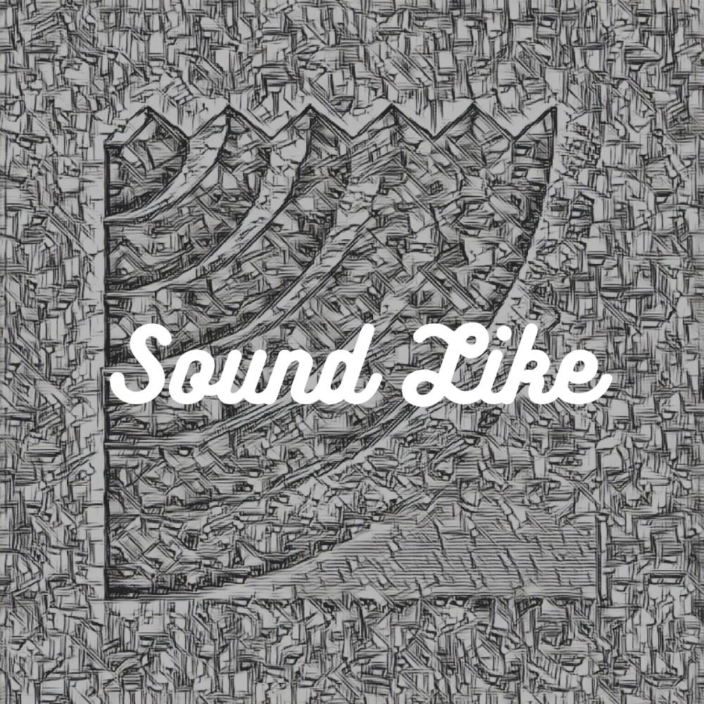 Sound Like (Explicit)