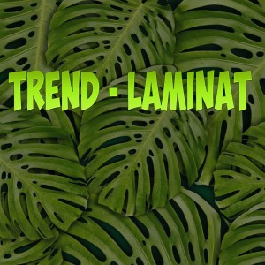 Album Laminat from Trend