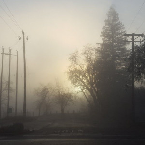 Listen to The City Is In A Fog song with lyrics from Za4ar