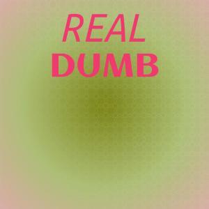 Album Real Dumb from Various