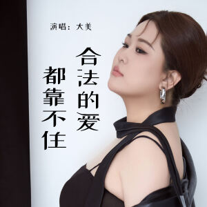 Album 合法的爱都靠不住 from 大美WH