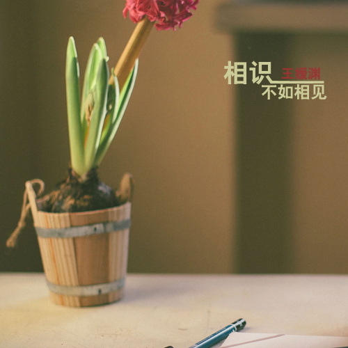 相识不如相见 (伴奏)