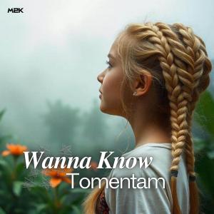 收聽Tomentam的Wanna Know歌詞歌曲