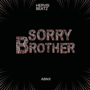 Album Sorry Brother from Hervis Beatz