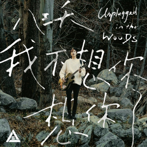 收聽八三夭樂團的我不想你想你了 (Unplugged in the Woods)歌詞歌曲