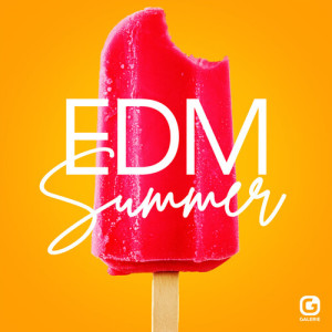 Album EDM Summer from Camille Ballon
