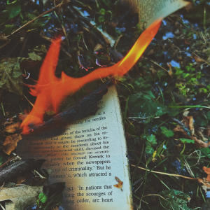 Johnny Williams的專輯Smooth