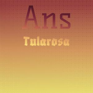 อัลบัม Ans Tularosa ศิลปิน Various