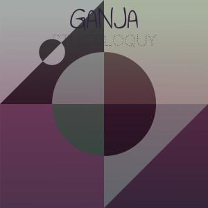 Listen to ***** Stultiloquy song with lyrics from Frederik Cico