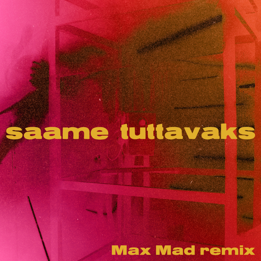 saame tuttavaks (Max Mad Remix)