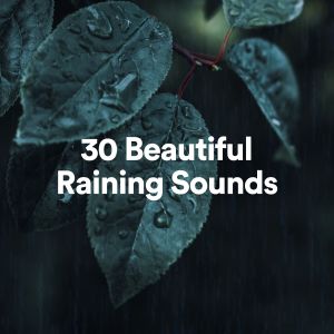 Nature Sounds的專輯30 Beautiful Raining Sounds