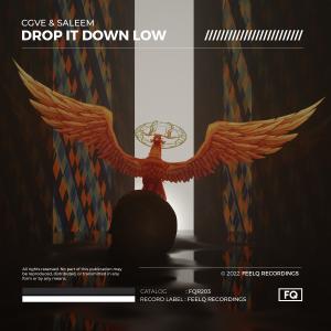 Album Drop It Down Low oleh Saleem