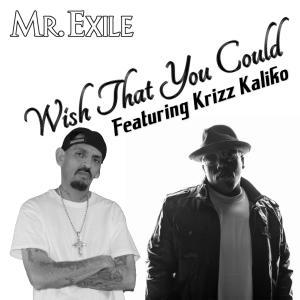 Wish That You Could (feat. Krizz Kaliko) dari Mr. Exile