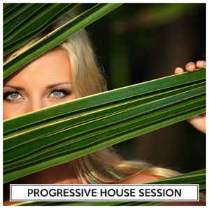 Various Artists的專輯Progressive House Session