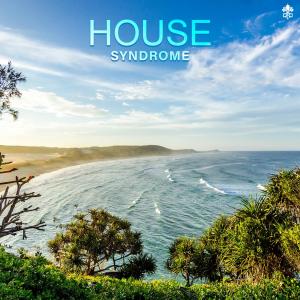 Various的专辑House Syndrome