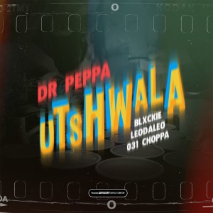 收聽Dr Peppa的Utshwala歌詞歌曲