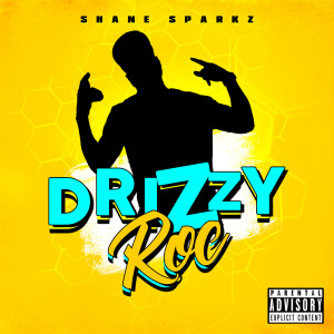 Listen to Drizzy Roc (Explicit) song with lyrics from Shane Sparkz