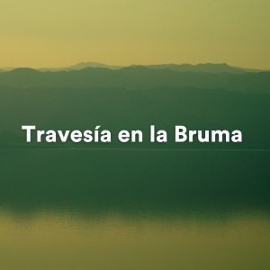 Dengarkan lagu Canción del Crepúsculo (Musica Relajante para Meditación y Sueño) nyanyian Musica Suave dengan lirik