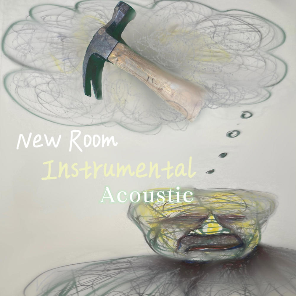 New Room (Acoustic Instrumental)