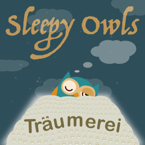 Sleepy Owls的专辑Träumerei