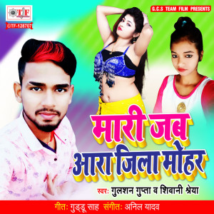 Listen to Mari Jab Aara Jila Mohar song with lyrics from Gulashan Gupta