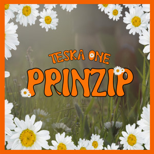 Listen to Prinzip song with lyrics from Teska One