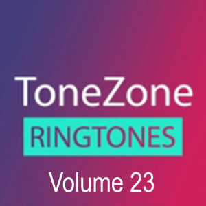 ToneZone Volume 23 dari Sunfly House Band