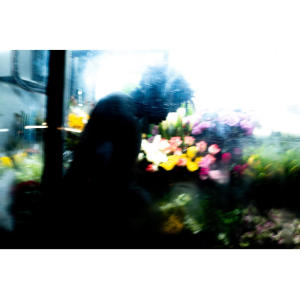 收聽N!vel的Härz歌詞歌曲