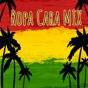 Dengarkan Ropa Cara (Mix) lagu dari Dj Perreo dengan lirik