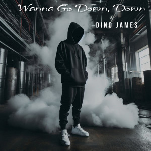 Dino James的專輯Wanna Go Down Down