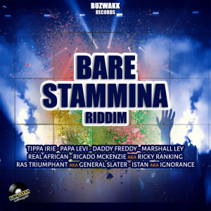 Various的专辑Bare Stammina Riddim