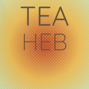 Dengarkan Renews Puddle lagu dari Meeta Anse dengan lirik