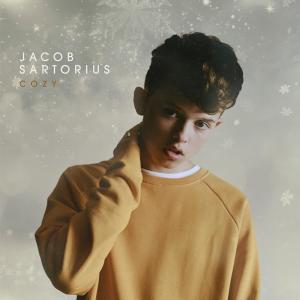 收聽Jacob Sartorius的Cozy歌詞歌曲
