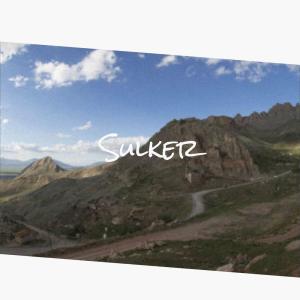 Album Sulker from Various Artists