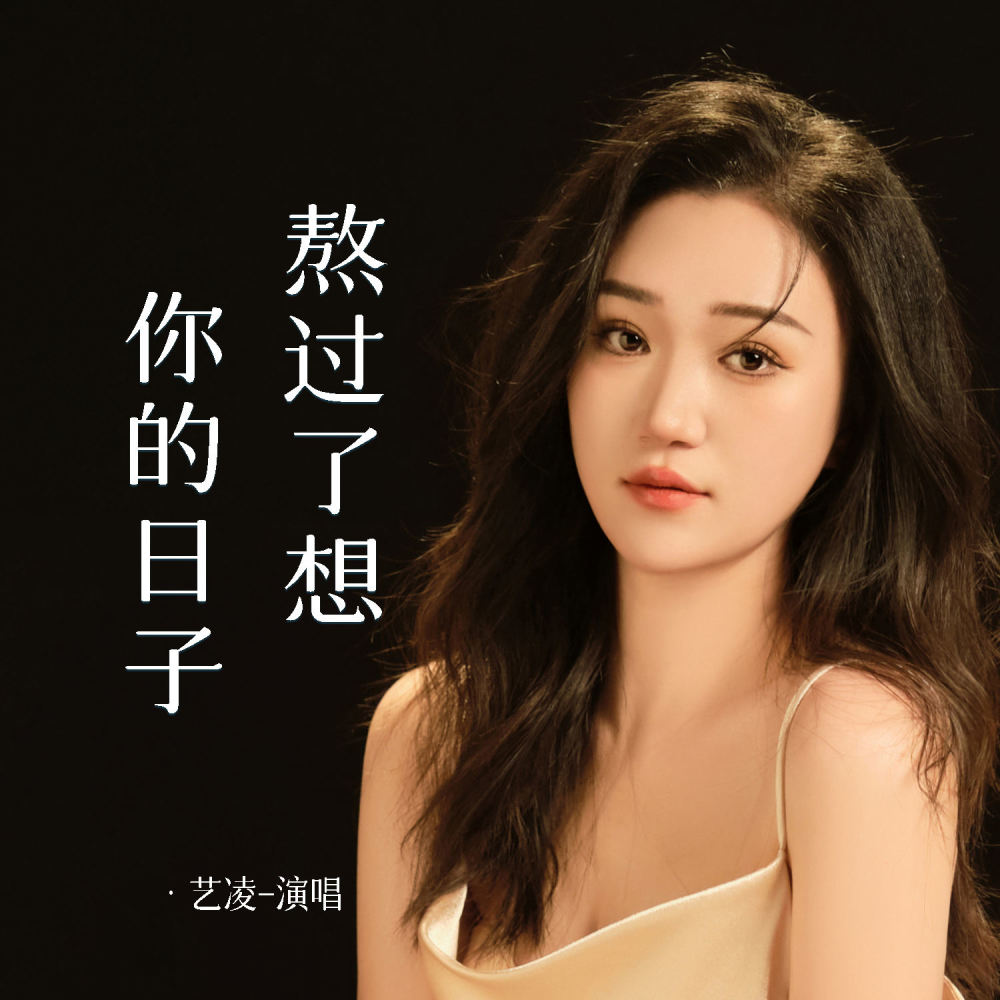 熬过了想你的日子 (Live合唱版伴奏)