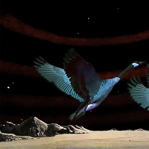 Album Secrets from Mr. Bird